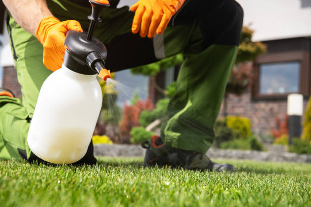 Pest Control for Restaurants in Livonia, LA