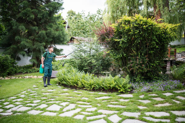 Best Pest Prevention Services  in Livonia, LA