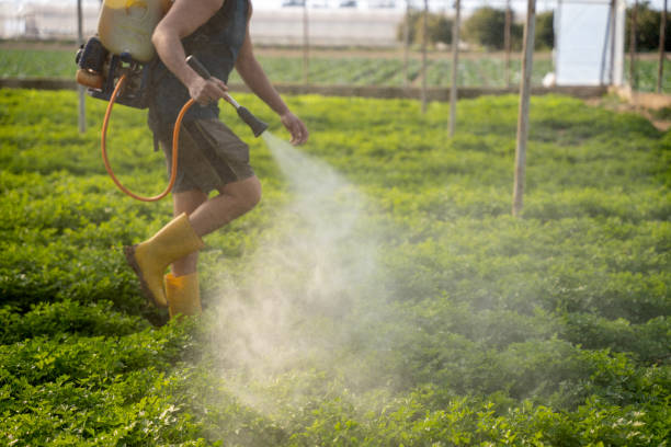 Best Best Pest Control Companies  in Livonia, LA