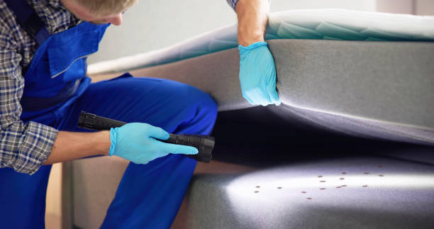 Best Residential Pest Control  in Livonia, LA